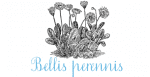 Little Cecily Font