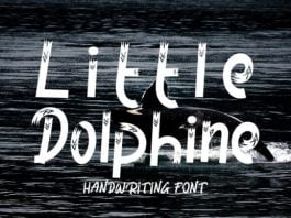 Little Dolphine Font