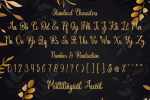 Little Donjuan Font