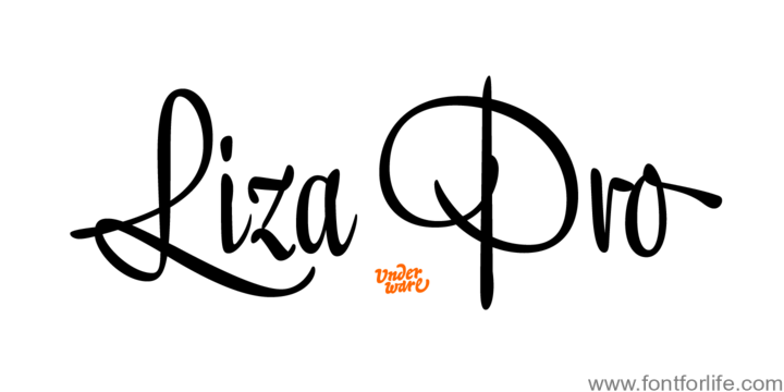 Liza Pro Font