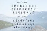 Long Island Font