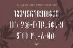Looqie Font