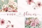 Lorden Holen Lovely Script