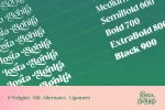 Losta Bonita - Modern Serif Family Font