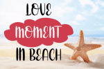 Love Berry Font