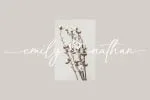 Love Rose Font
