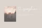 Love Rose Font