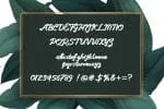 Lovely Valenty Script Font