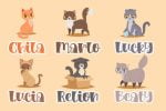 Loving Kitten Font