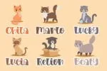 Loving Kitten Font