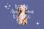 Loving Paris Font