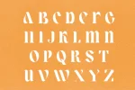 Lower Coast - Serif Display Font
