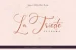 Lowly Bunny Handwritten Script Font