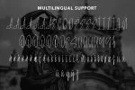 LoyaltyProgram - Calligraphy Signature Font