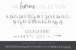 Luscious Font Collection Font