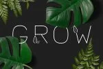 Lush Sans Typeface