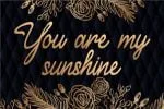 Luxury Vibes Font