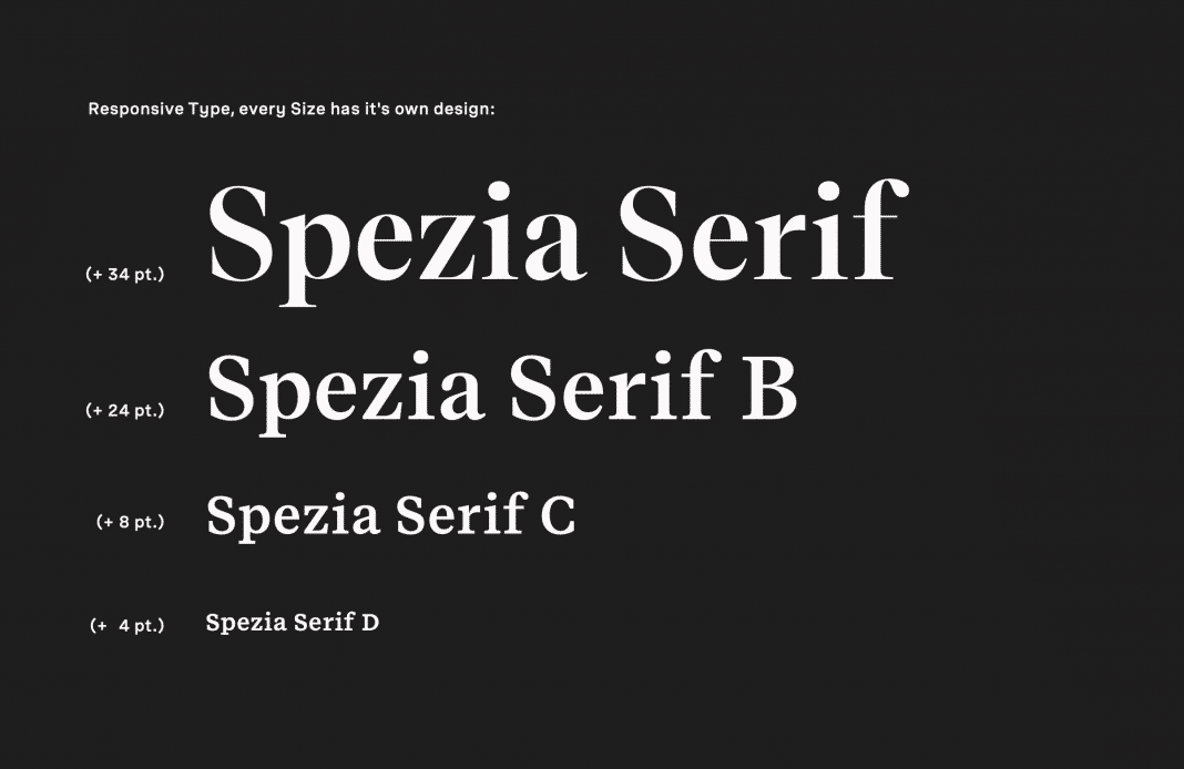 Luzi Type Spezia Serif Font Family