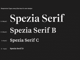 Luzi Type Spezia Serif Font Family