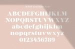 Coachella Font