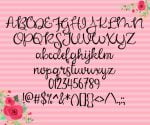 Mabel Rose Font