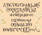 Macaroni Salad Font