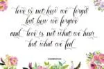 Macrofhyllya Script Font