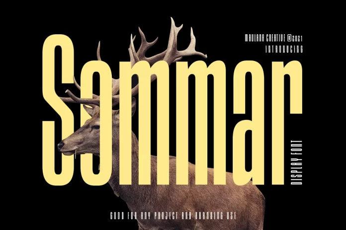 Mad Max Sommar - Display Font