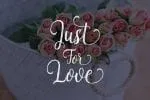 Madeline Script Font