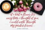 Madista Calligraphy Font