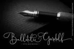 Maestrography Handwritten Font