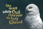 Magic Owl Handcrafted Typeface