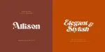 Magic Retro Font Family