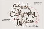 Magicstone Font