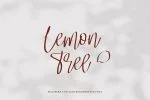 Magifera A Stylish Handwritten Font