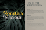 Magist Font