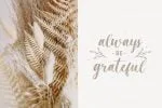 Magista Brush Font