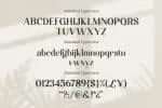 Magistic Foundation – Elegant Display Font