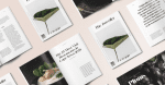 Magnat Font Families