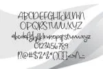 Magnesium Font