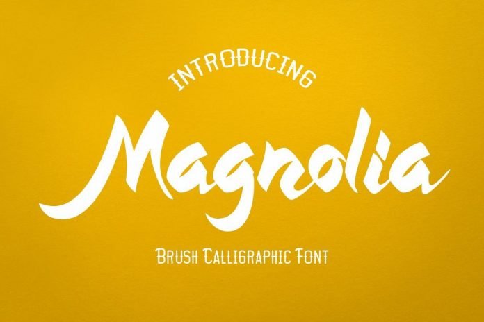 Magnolia - Callygraphic Font