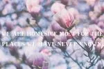Magnolia Plantation Font