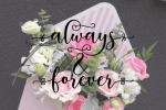 Magnum Font