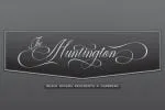 Maguero Script Font