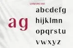 Maguire Font