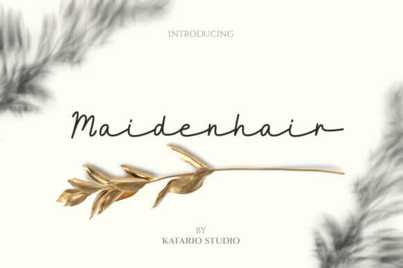 Maidenhair Font