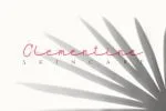 Maidenhair Font