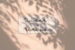 Maidenhair Font