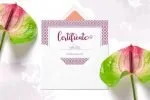 Makayla - Beautiful Script Font