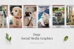 Dogs Animated Instagram Stories